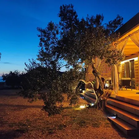 Seaside House Drage, Biograd - 21447 Dom wakacyjny